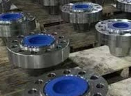 Titanium flanges