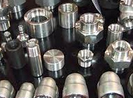 Stainless & Duplex Steel Forged fitting