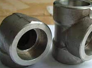 Titanium Forged fitting